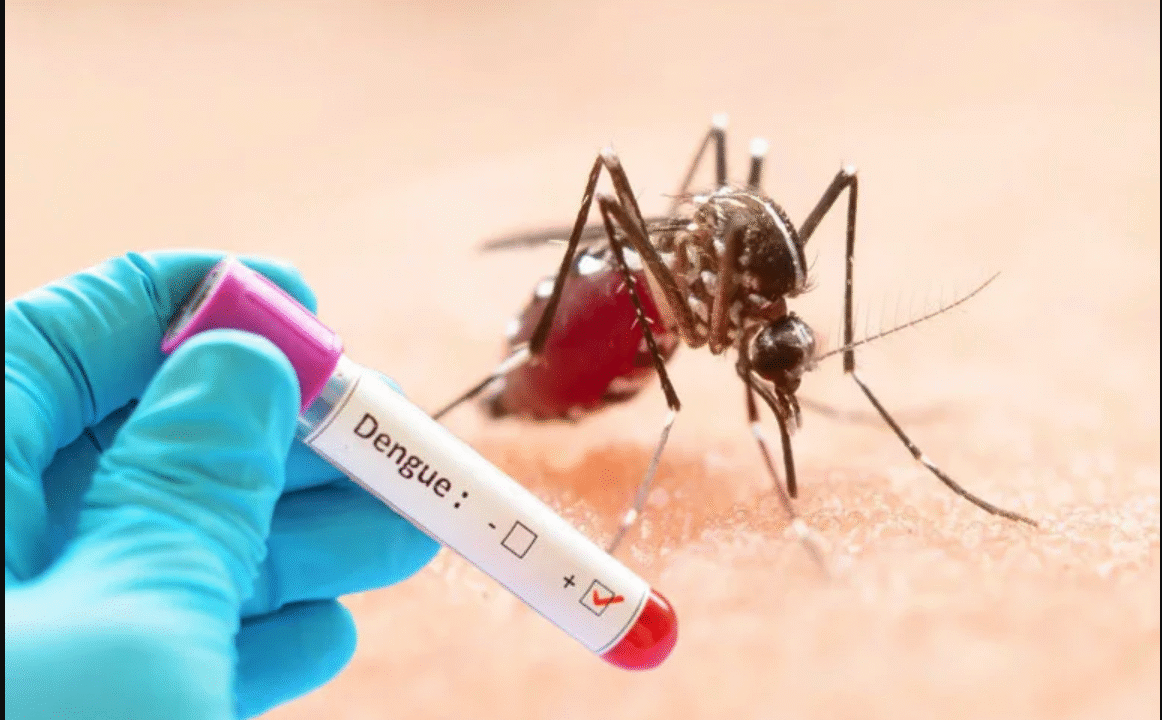 ডেঙ্গু আক্রান্ত হয়ে নতুন করে ২১ জন হাসপাতালে ভর্তি