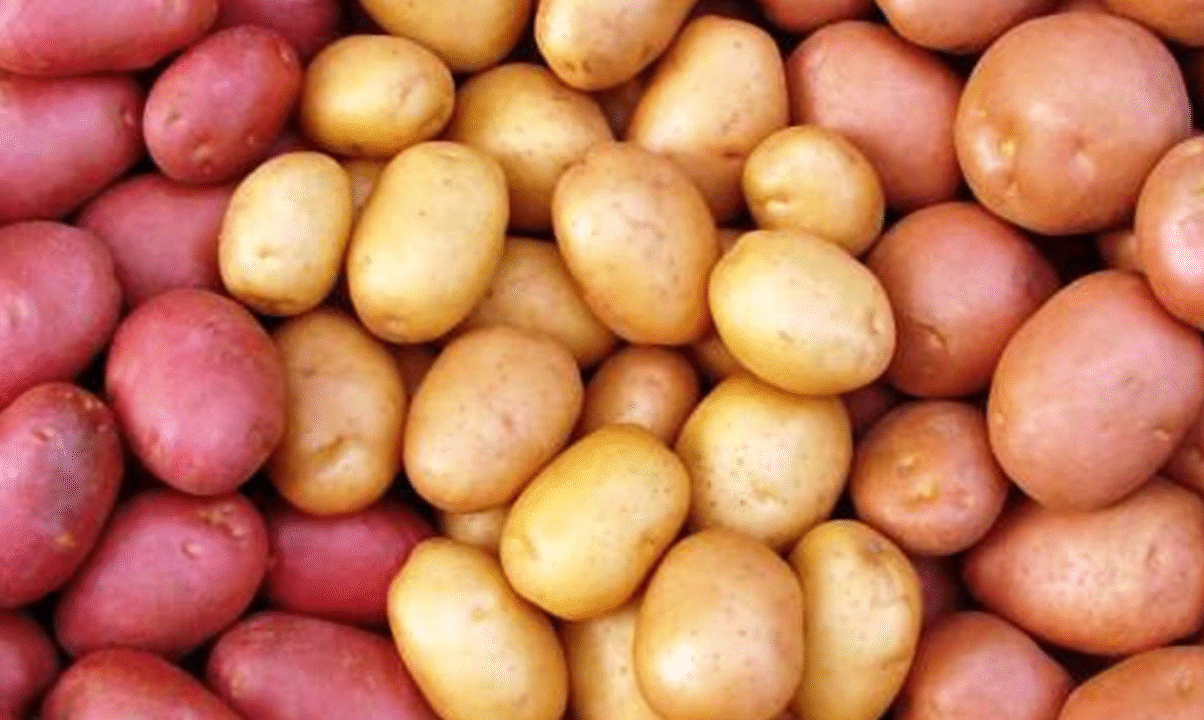 আলু খাওয়া কেন ভালো, কেন খারাপ