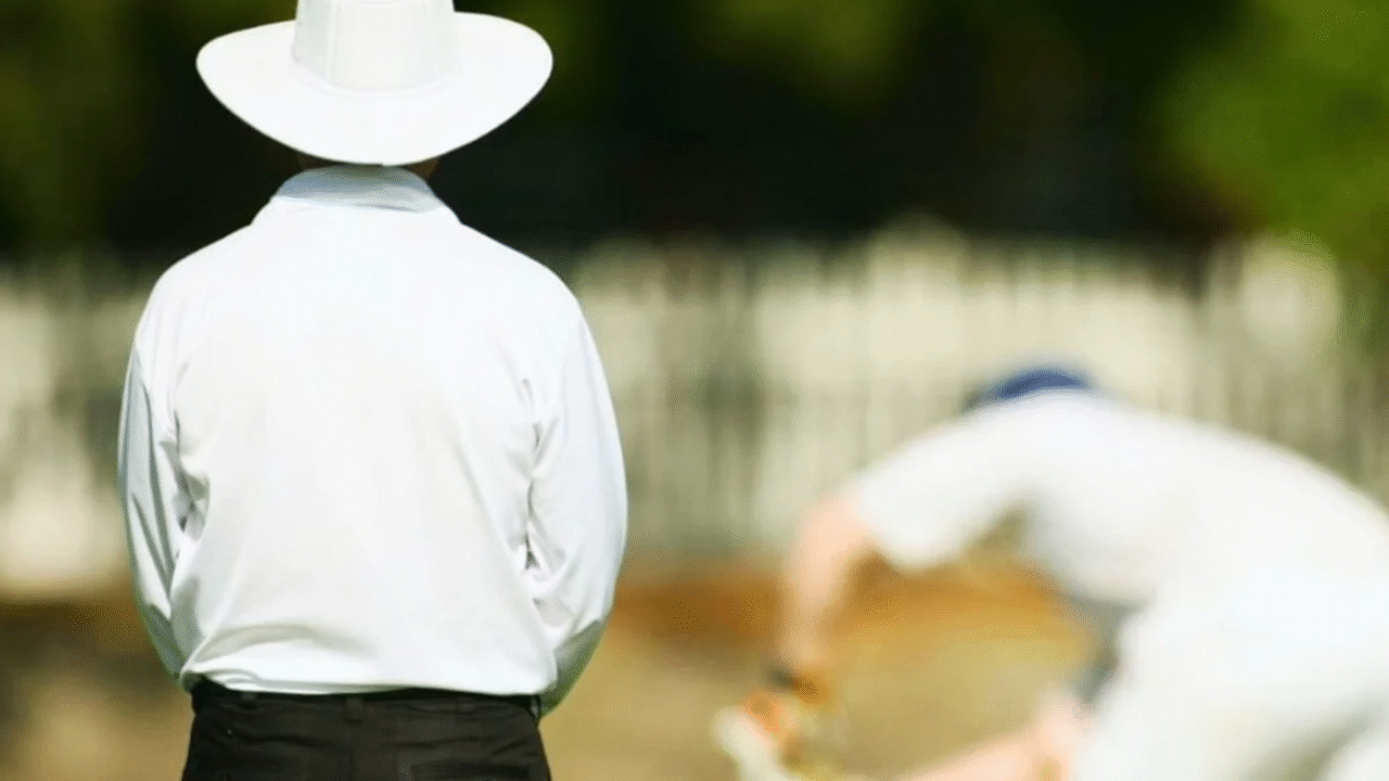 মৌমাছির কামড়ে প্রাণ গেল আম্পায়ারের