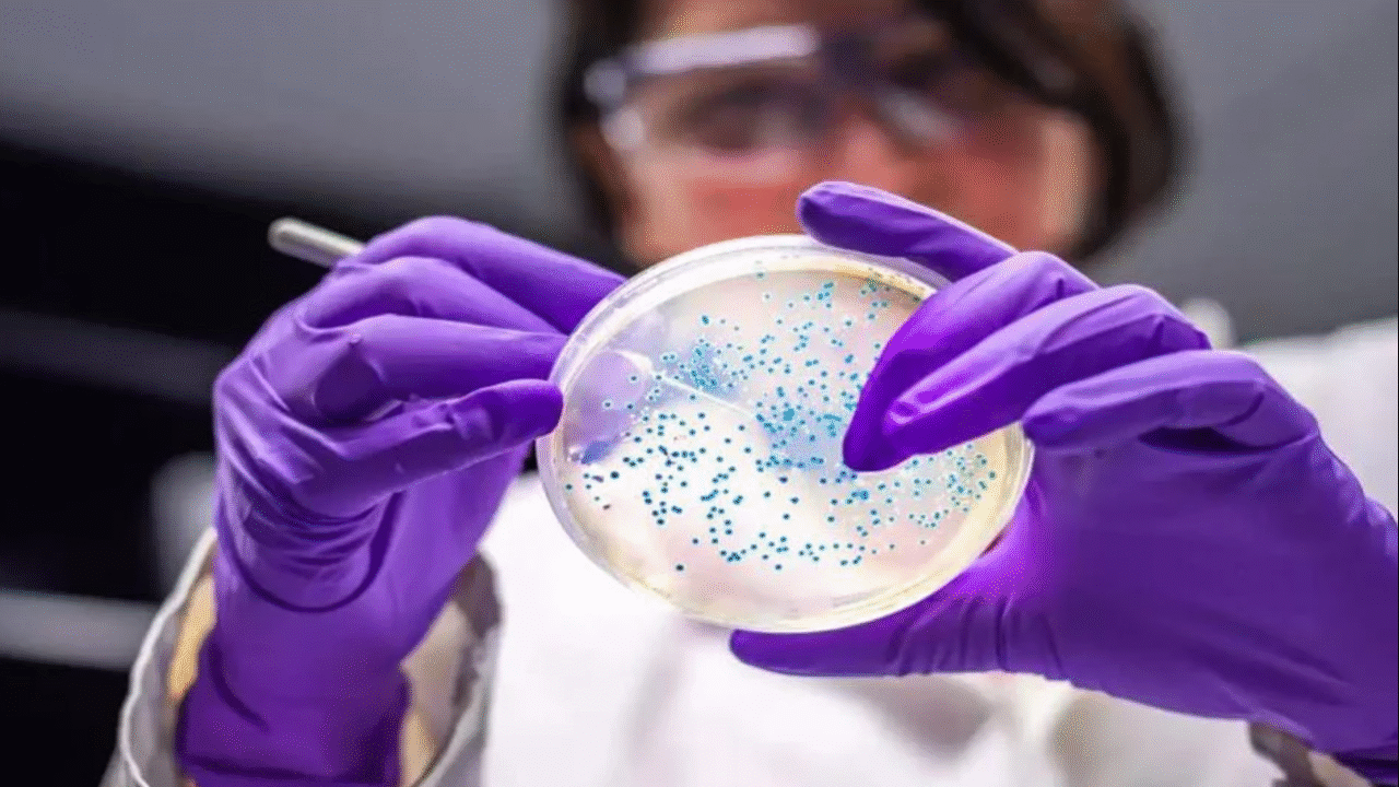 বিজ্ঞানীদের সন্ধানে প্লাস্টিকখেকো ব্যাকটেরিয়া