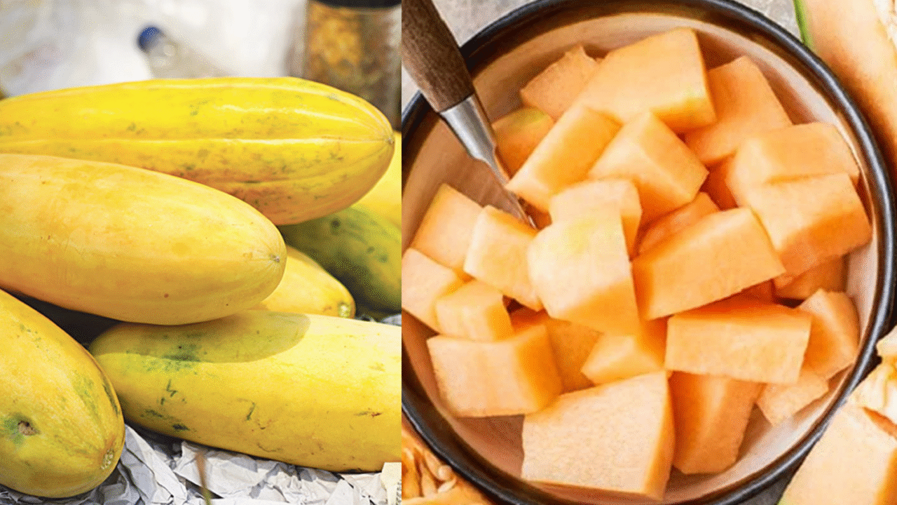 গরমে বাঙ্গি খাওয়ার উপকারিতা জানুন