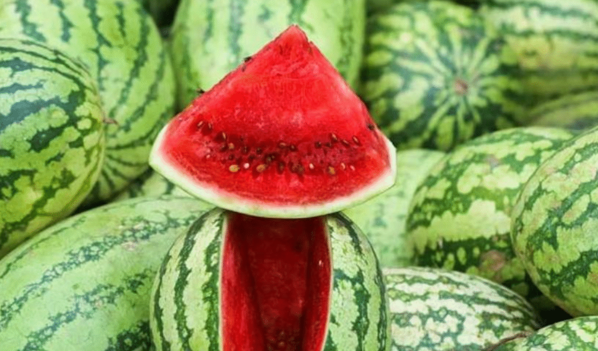 ফ্রিজ ছাড়াই মাত্র ১০ মিনিটে তরমুজ হবে বরফ-ঠান্ডা, জেনে নিন কৌশল