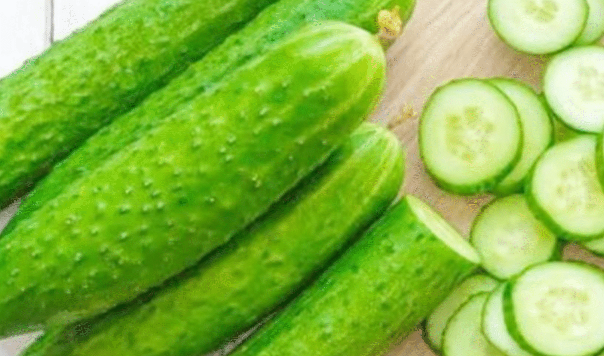 শসার স্বাস্থ্য উপকারিতা ও সতর্কতা সম্পর্কে জানুন