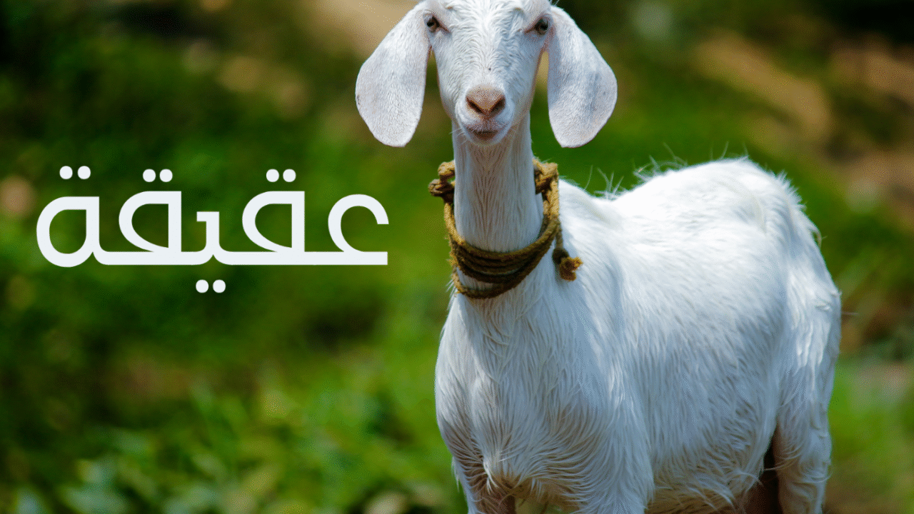 ইসলামের দৃষ্টিতে আকিকা