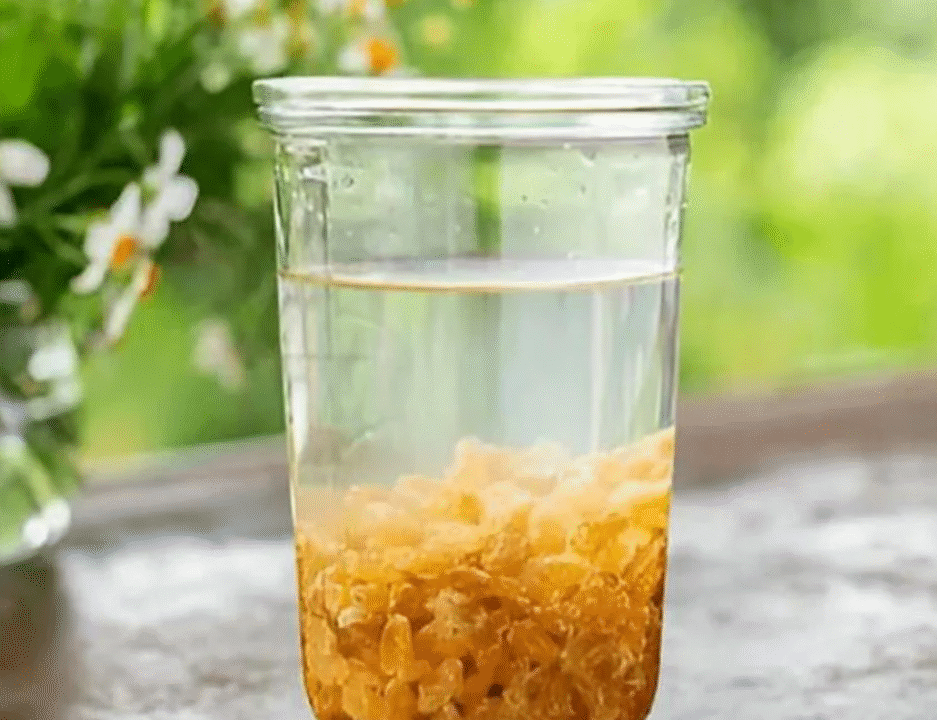 সকালে খালি পেটে কিশমিশ ভেজানো পানি পানের উপকারিতা