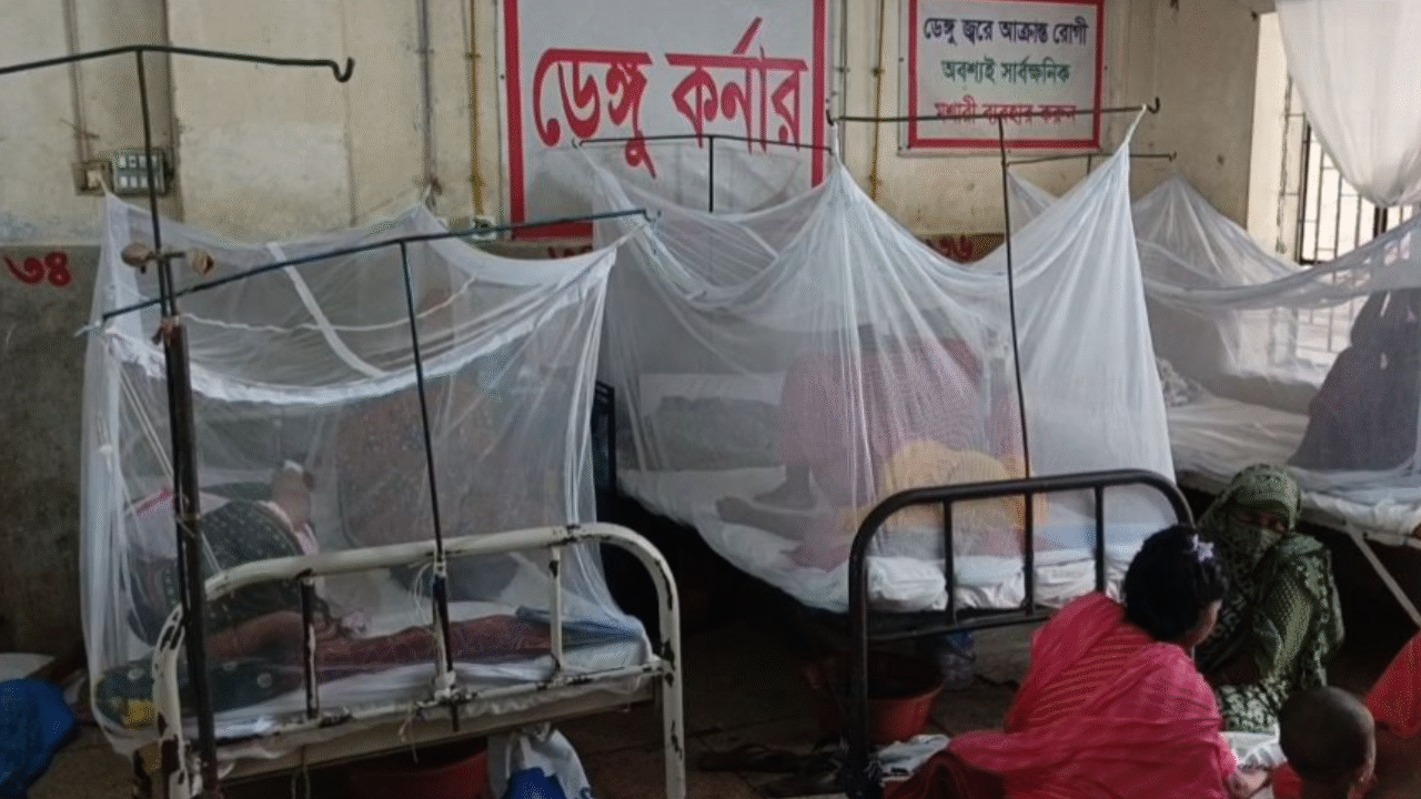 পিরোজপুরে একদিনে ডেঙ্গু আক্রান্ত শনাক্ত ২০ জন